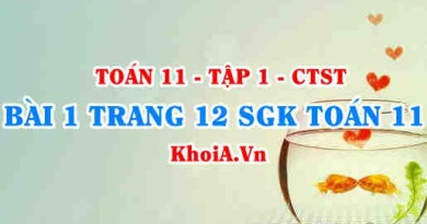 Bài 1 trang 12 SGK Toán 11 Tập 1 Chân trời sáng tạo